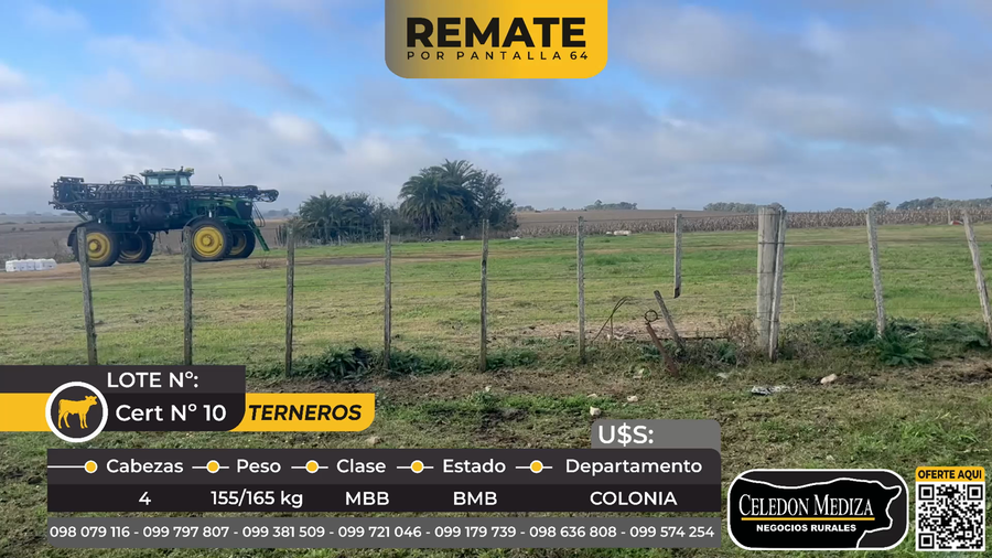 Lote 4 Terneros en Ruta 106 a 6 km de ruta 22, Colonia