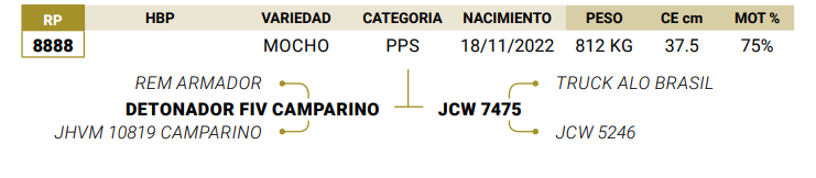 Lote LOTE 9