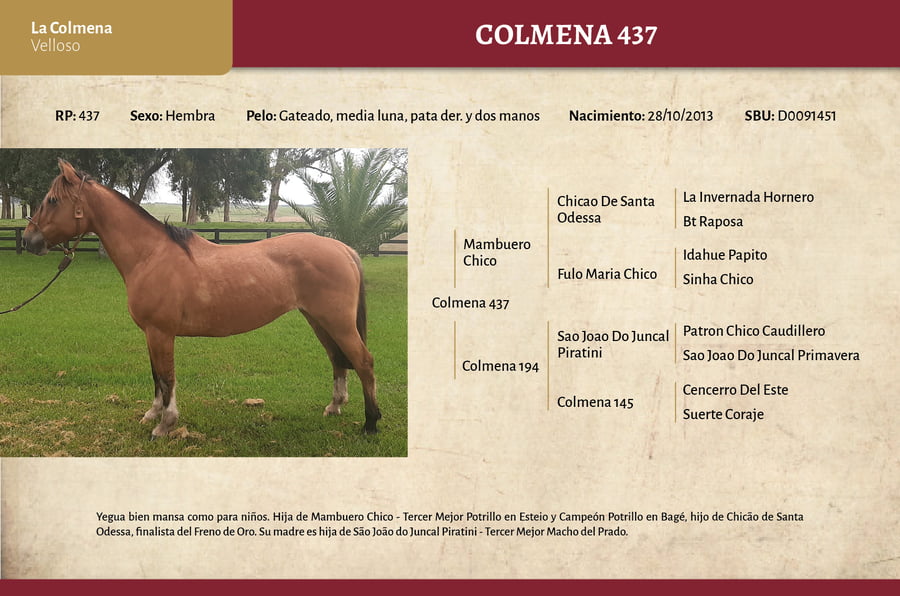 Lote Colmena 437 (RP 437) - Cabaña La Colmena