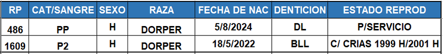 Lote LOTE 51