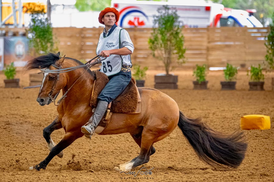 Lote FOGATA GATOPARDO