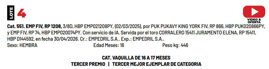 Lote LOTE 4