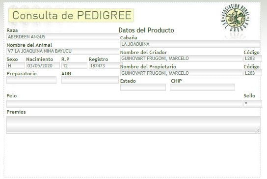 Lote (Vendido)2 VAQUILLONAS 1 A 2 AÑOS PI AA a remate en PANTALLA GARLAND 340kg -  en COLONIA BELGRANO