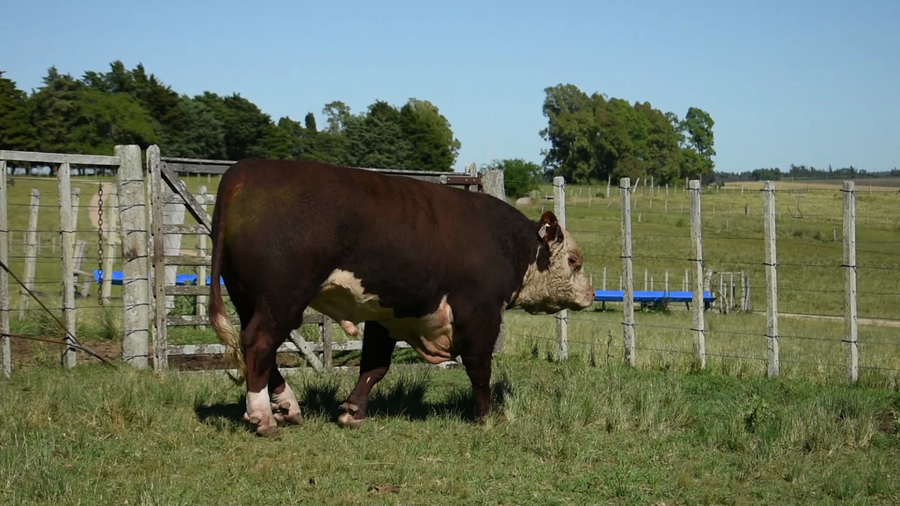 Lote "Doña Elisa", RP 1088