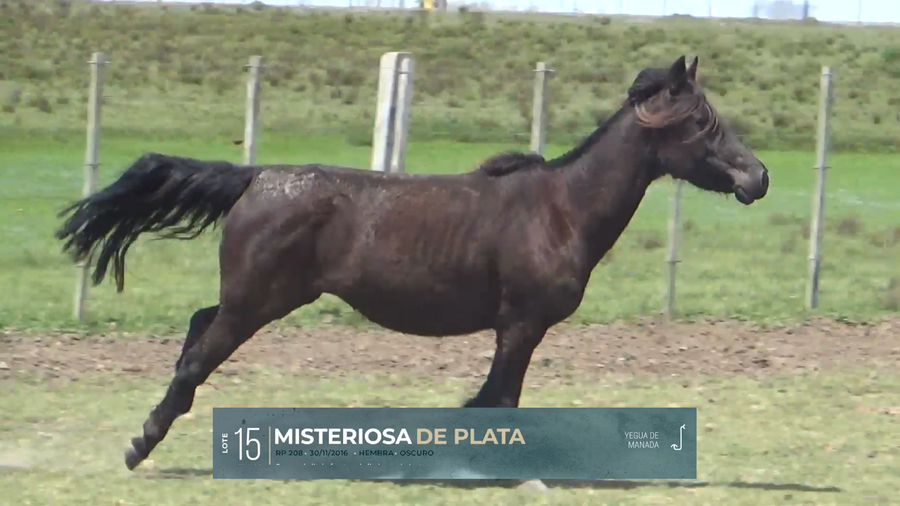 Lote Yeguarizos a remate en Criollos, Montevideo