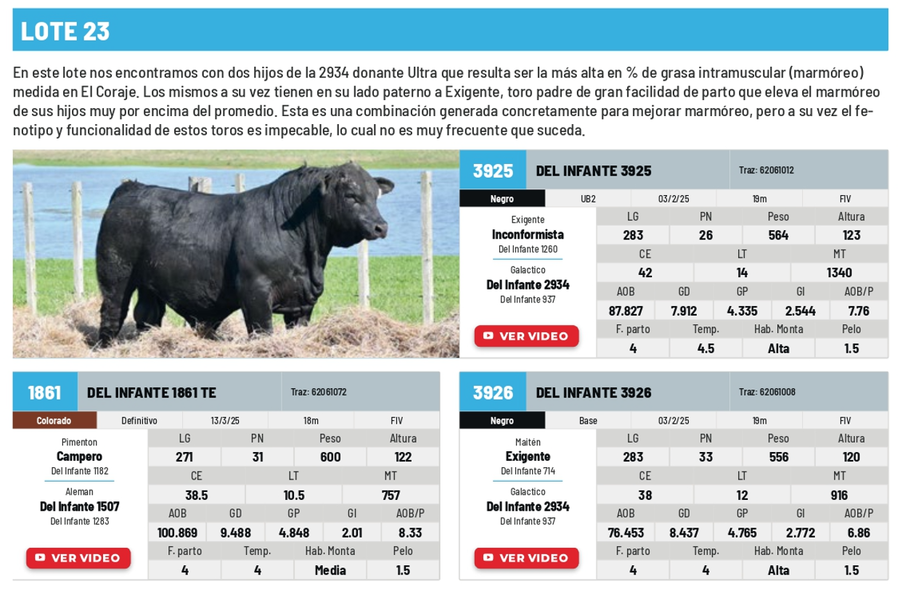 Lote Lote 23