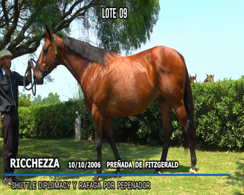 Lote RICCHEZZA (ARG)