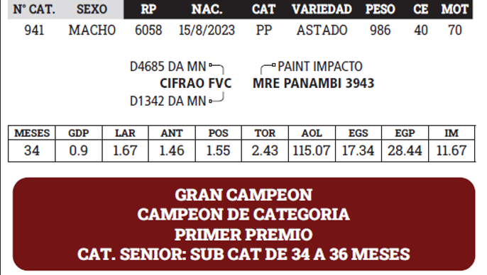 Lote LOTE 12 - BOZAL