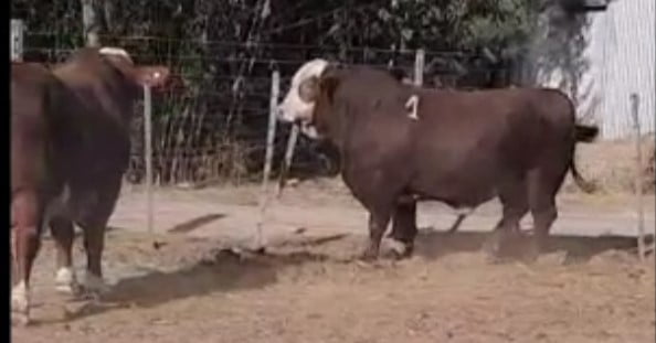 Lote CABAÑA LOS NINOS