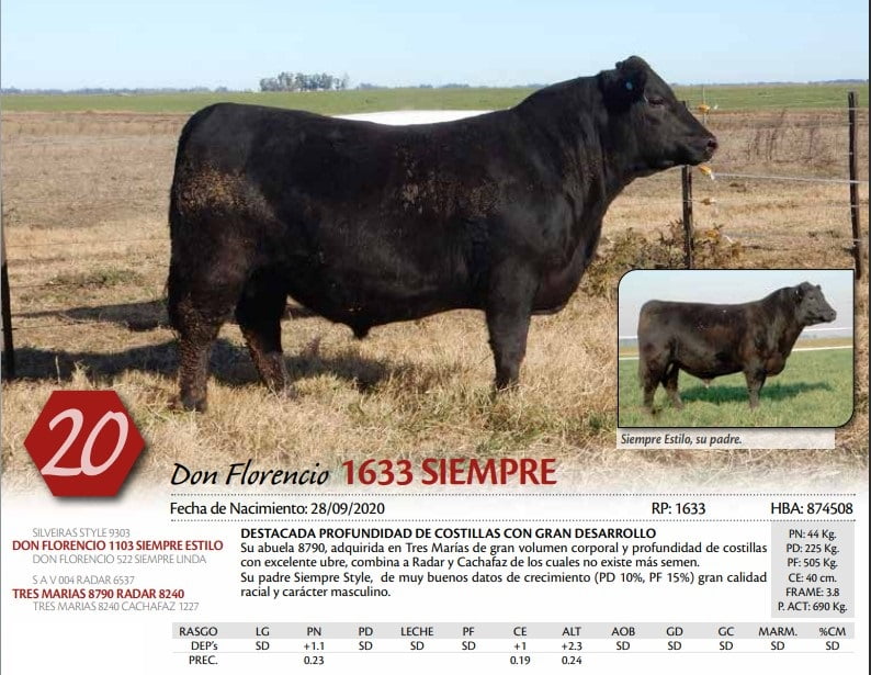 Lote TORO