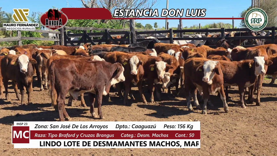 Lote ESTANCIA DON LUIS