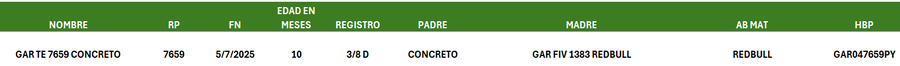 Lote LOTE 40