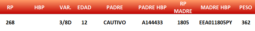 Lote LOTE 11- JUNIOR