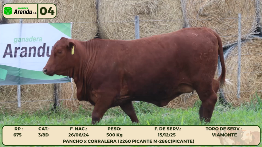 Lote LOTE 4