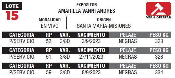 Lote LOTE 15- EN VIVO