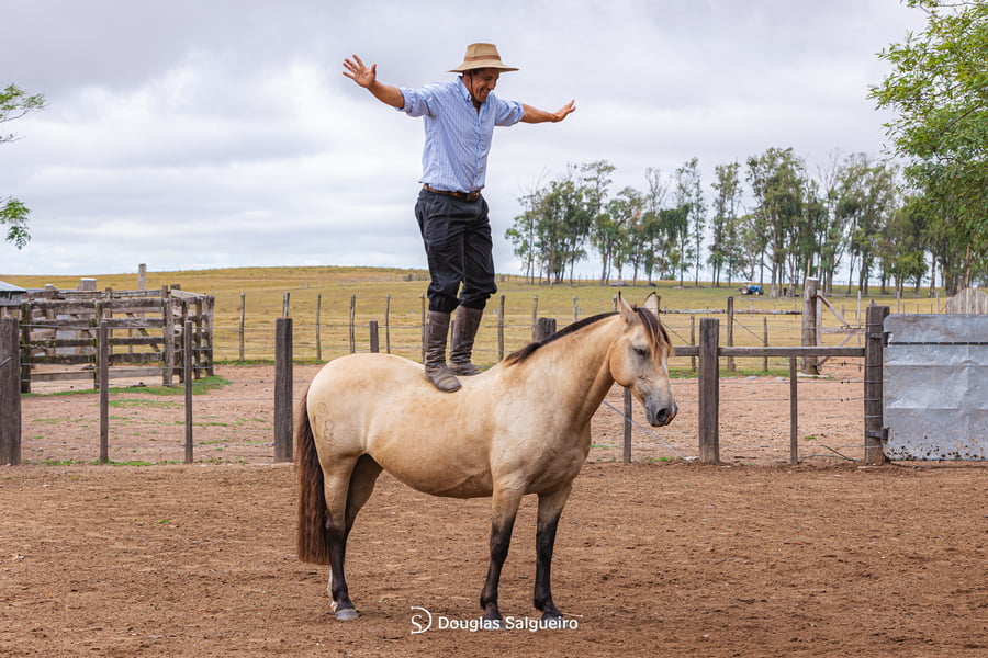 Lote LA SERENA COLINA BLANCA
