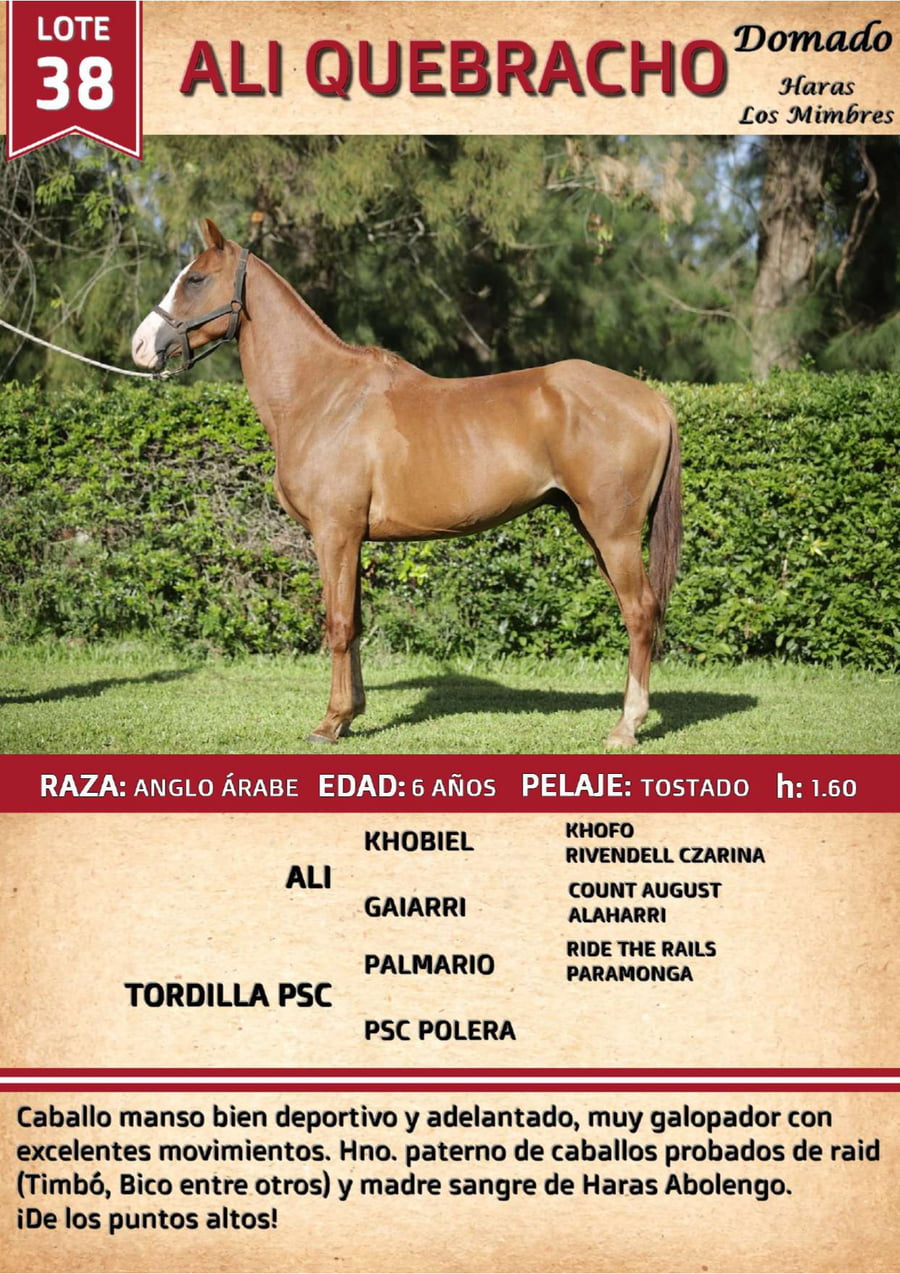Lote ALI QUEBRACHO