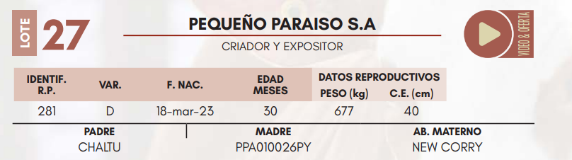Lote LOTE 27 MACHOS DE CAMPO