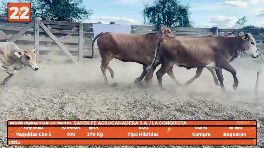 Lote LOTE 22
