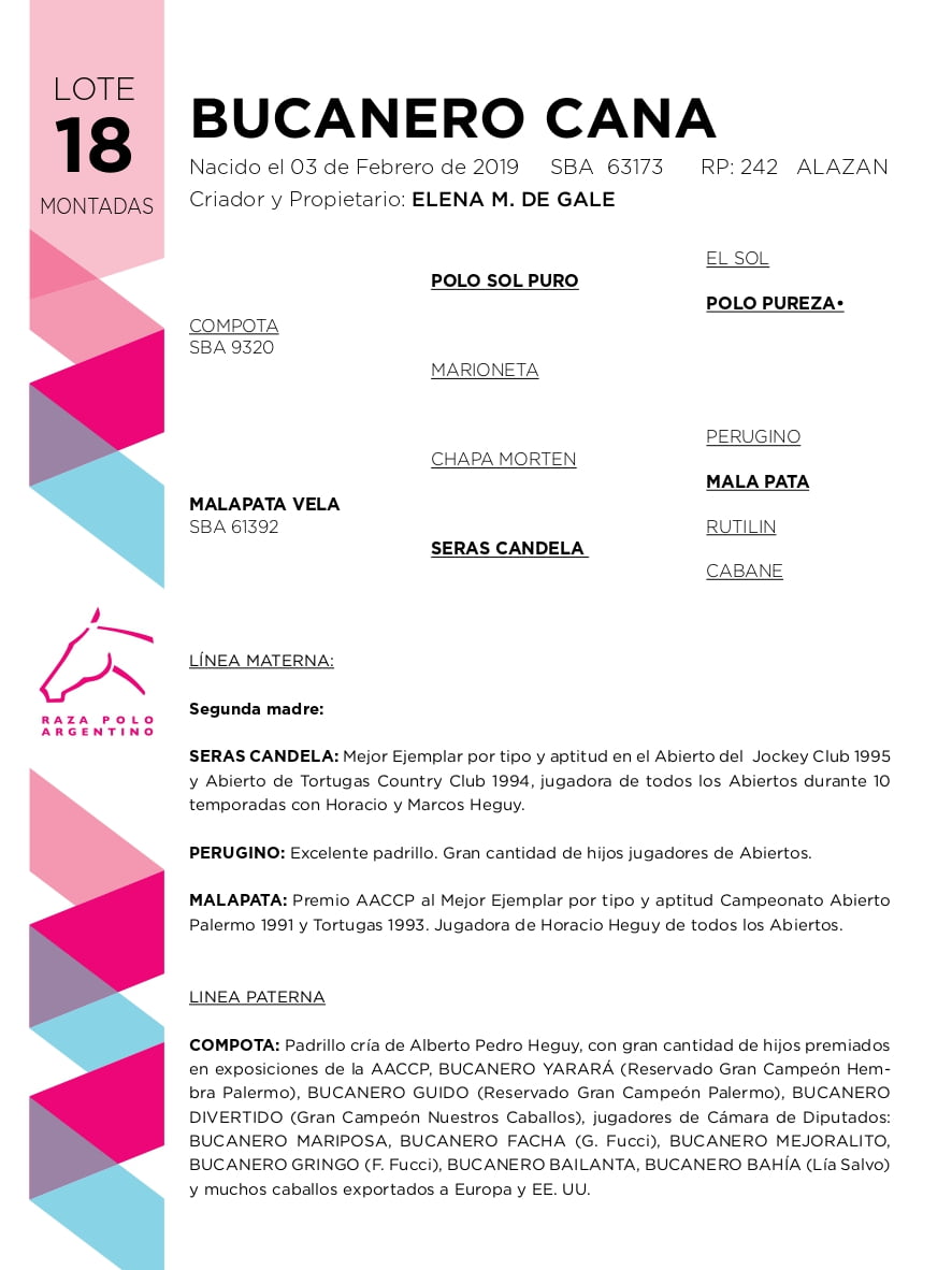 Lote BUCANERO CANA (COMPOTA - MALAPATA VELA)