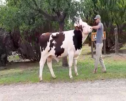 Lote La Clide RP 449