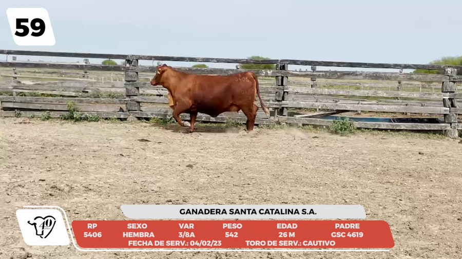 Lote LOTE 59-DE CAMPO
