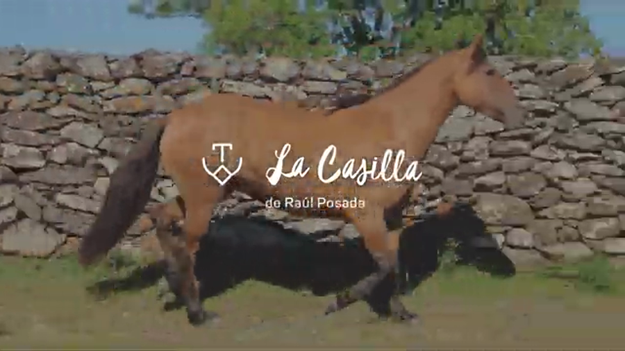 Lote NAVEGADORA 704 DE LA CASILLA