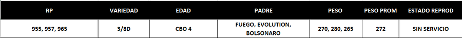 Lote LOTE 54