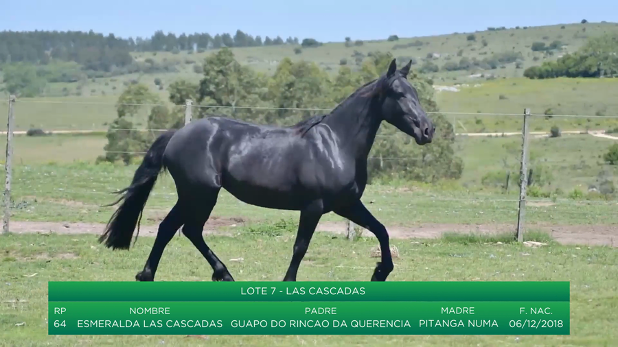 Lote Esmeralda Las Cascadas