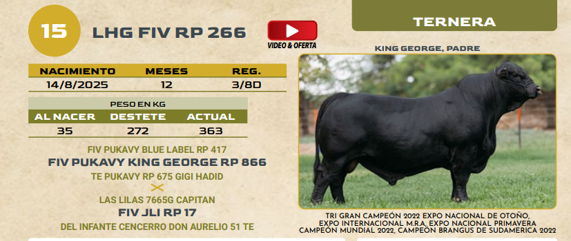 Lote LOTE 15