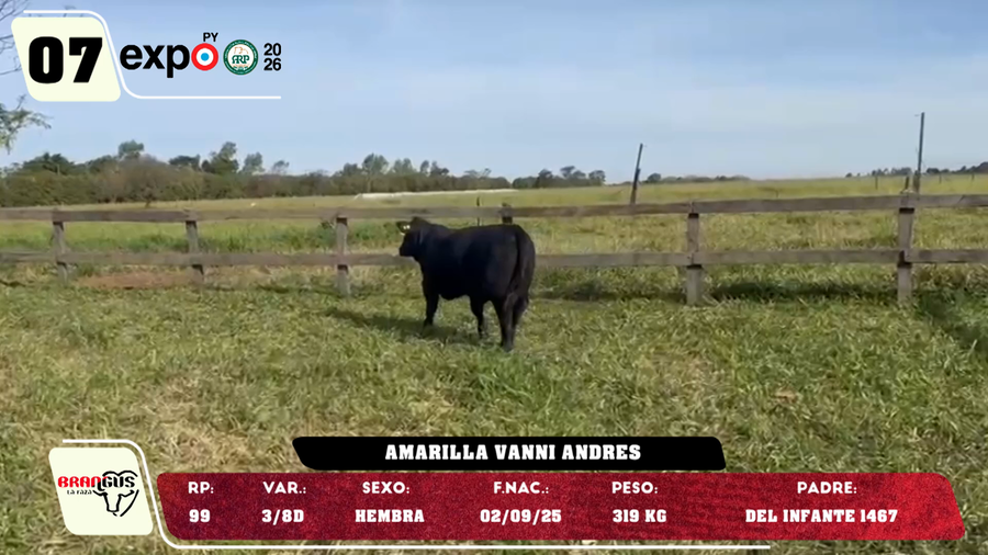 Lote LOTE 7