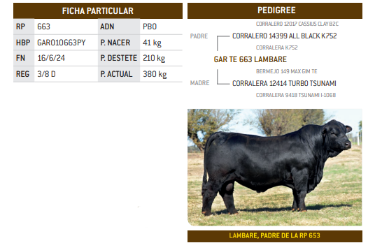 Lote LOTE 39
