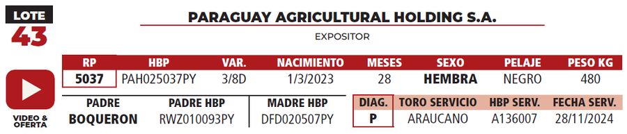 Lote LOTE 43