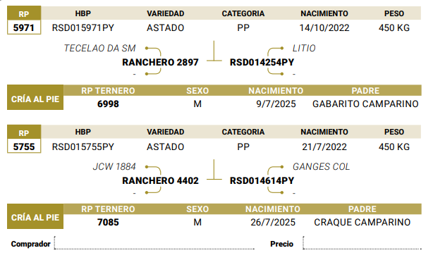 Lote LOTE 46
