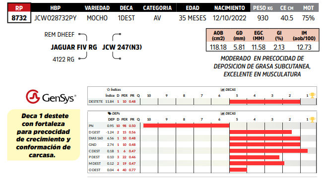 Lote LOTE 22