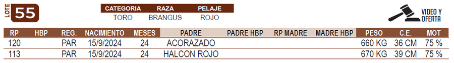 Lote LOTE 55