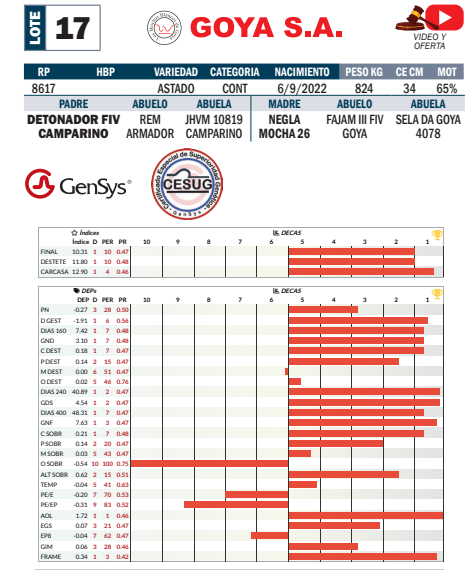 Lote LOTE 17- POR PANTALLA
