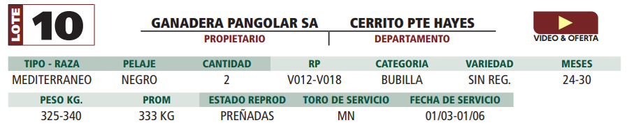 Lote LOTE 10