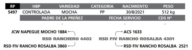 Lote LOTE -  52 A BOZAL -RP 5497