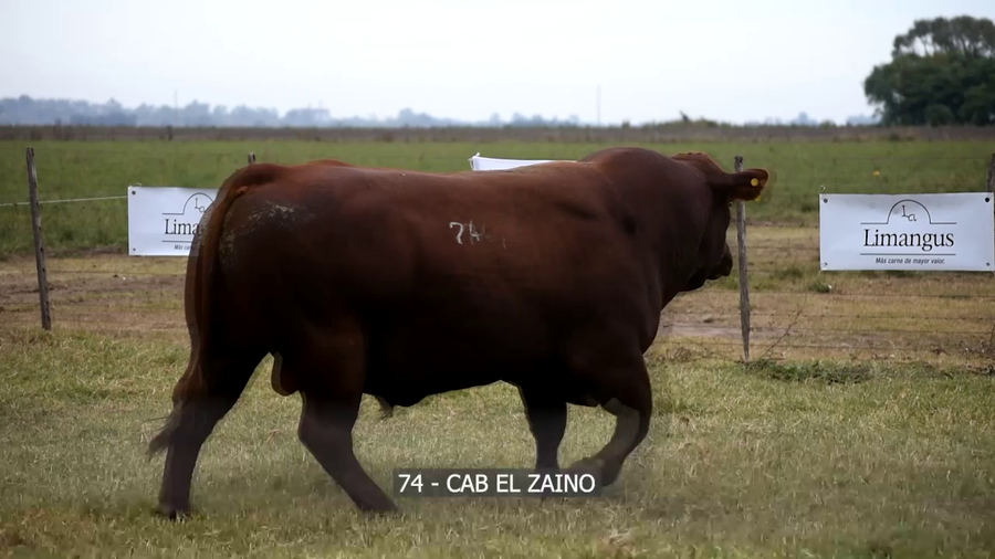 Lote RP 74 EL ZAINO