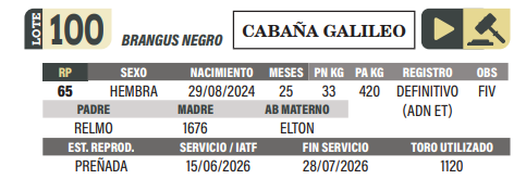 Lote LOTE 100