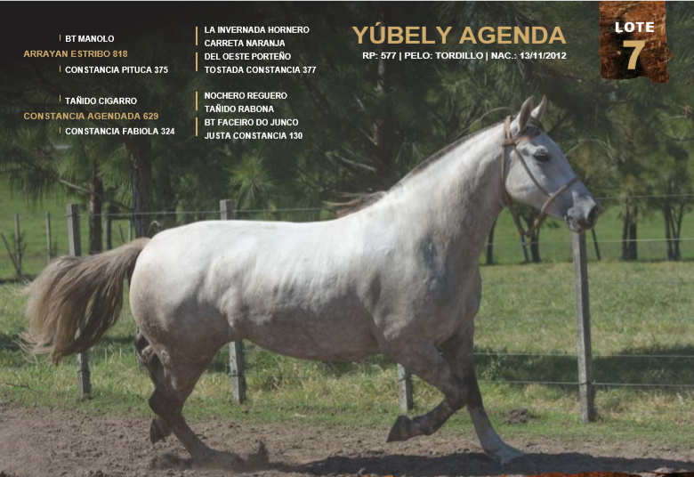 Lote YÚBELY AGENDA