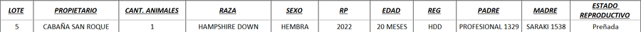 Lote LOTE 5