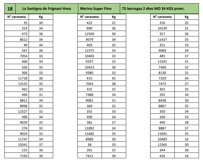Lote 75 borregas 2 dtes MO 34 KGS prom
