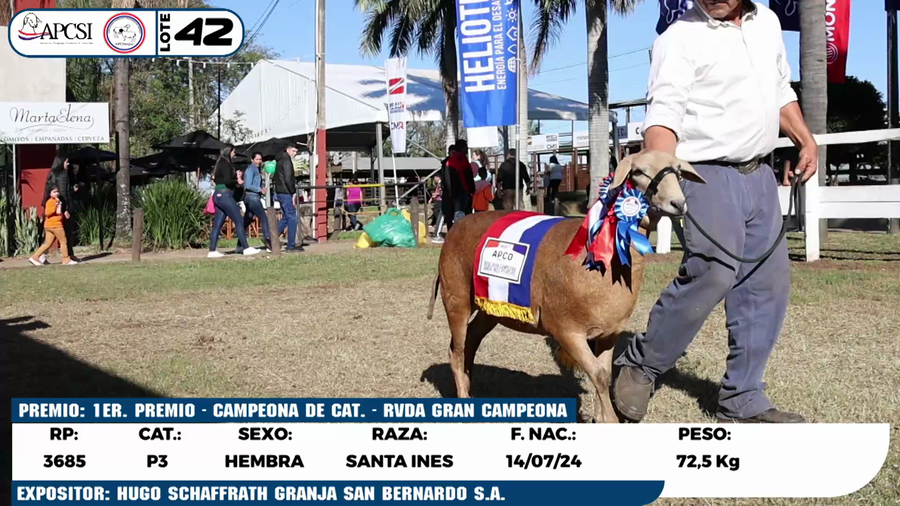 Lote LOTE 42