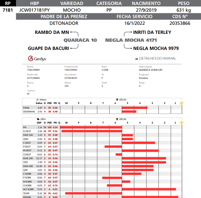 Lote LOTE 39  RP 7181