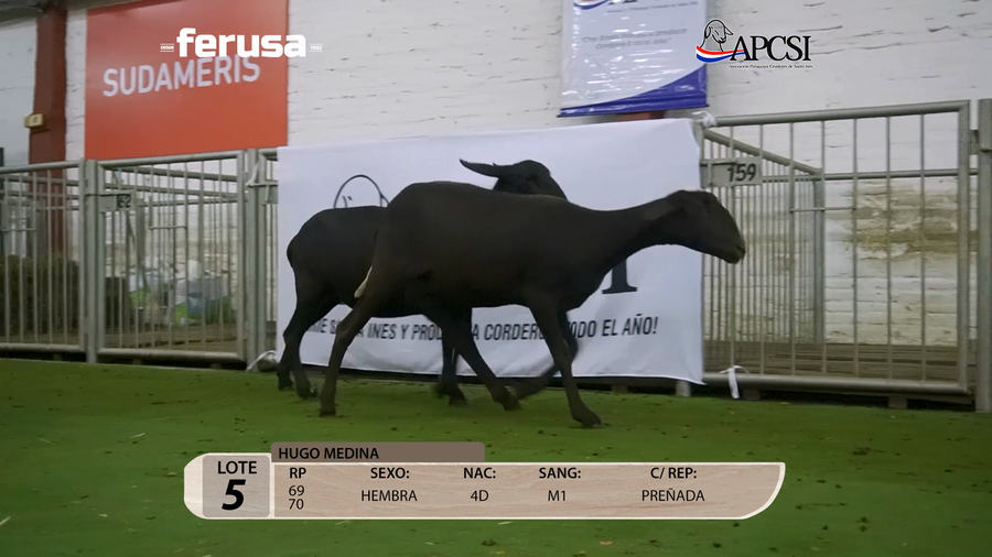Lote Nacional Santa Inés Campo - Lote 5