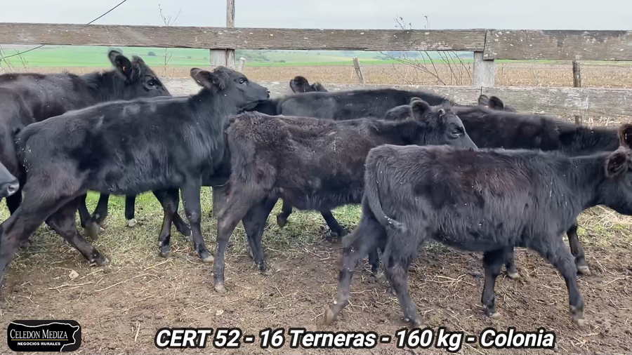 Lote 16 Terneras en El Ensueño, Colonia