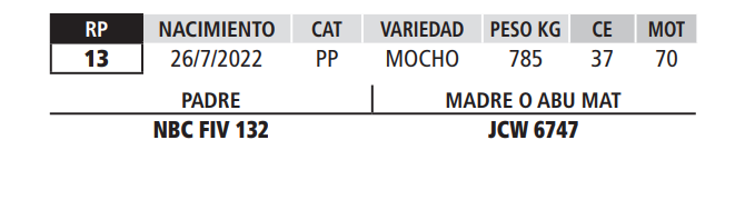 Lote LOTE 43