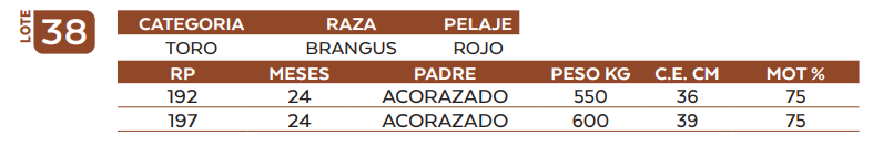 Lote LOTE 38